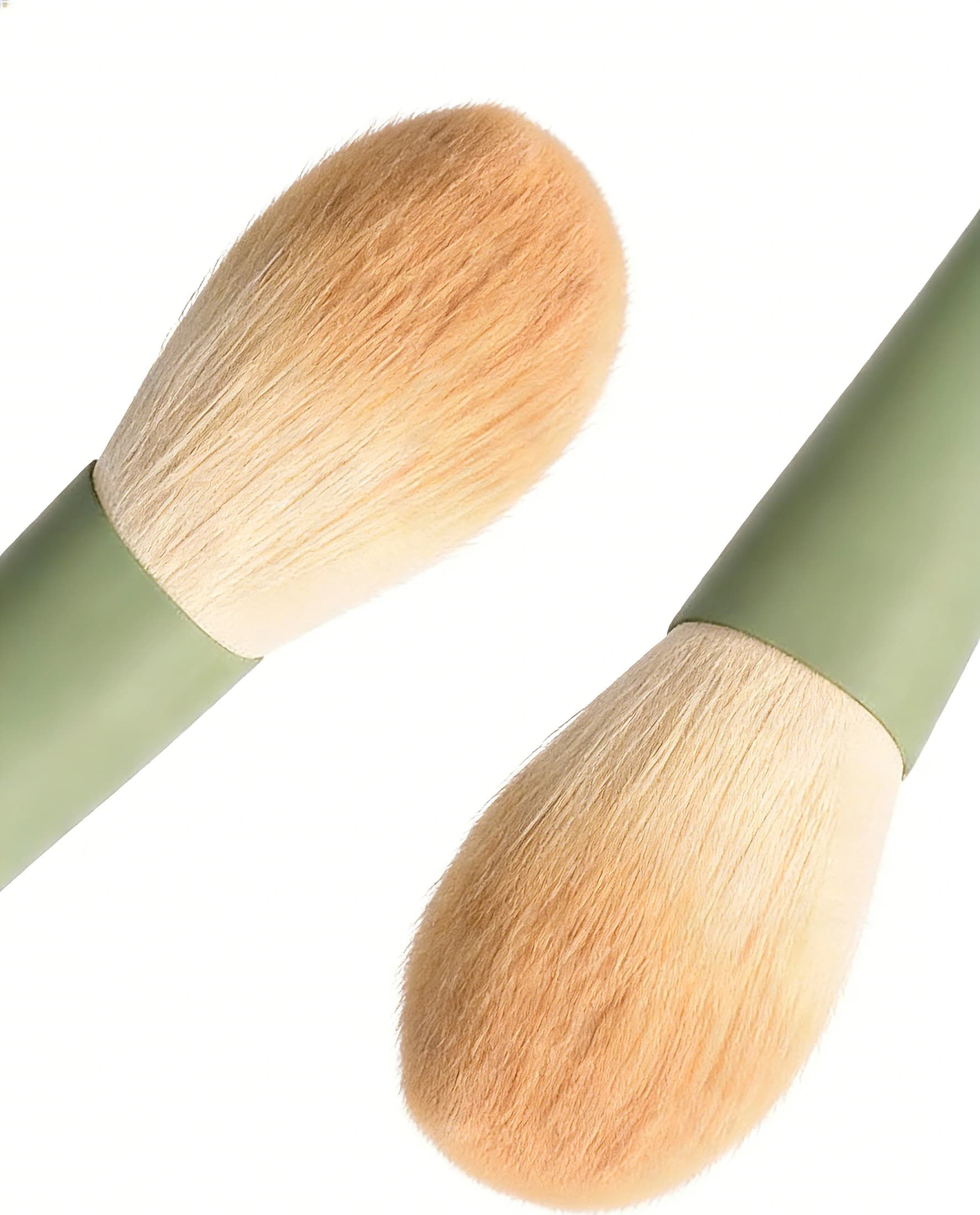 Synthetic bristles on two rounded face brushes from the B12 set